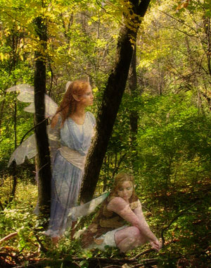 fairy hiding in trees